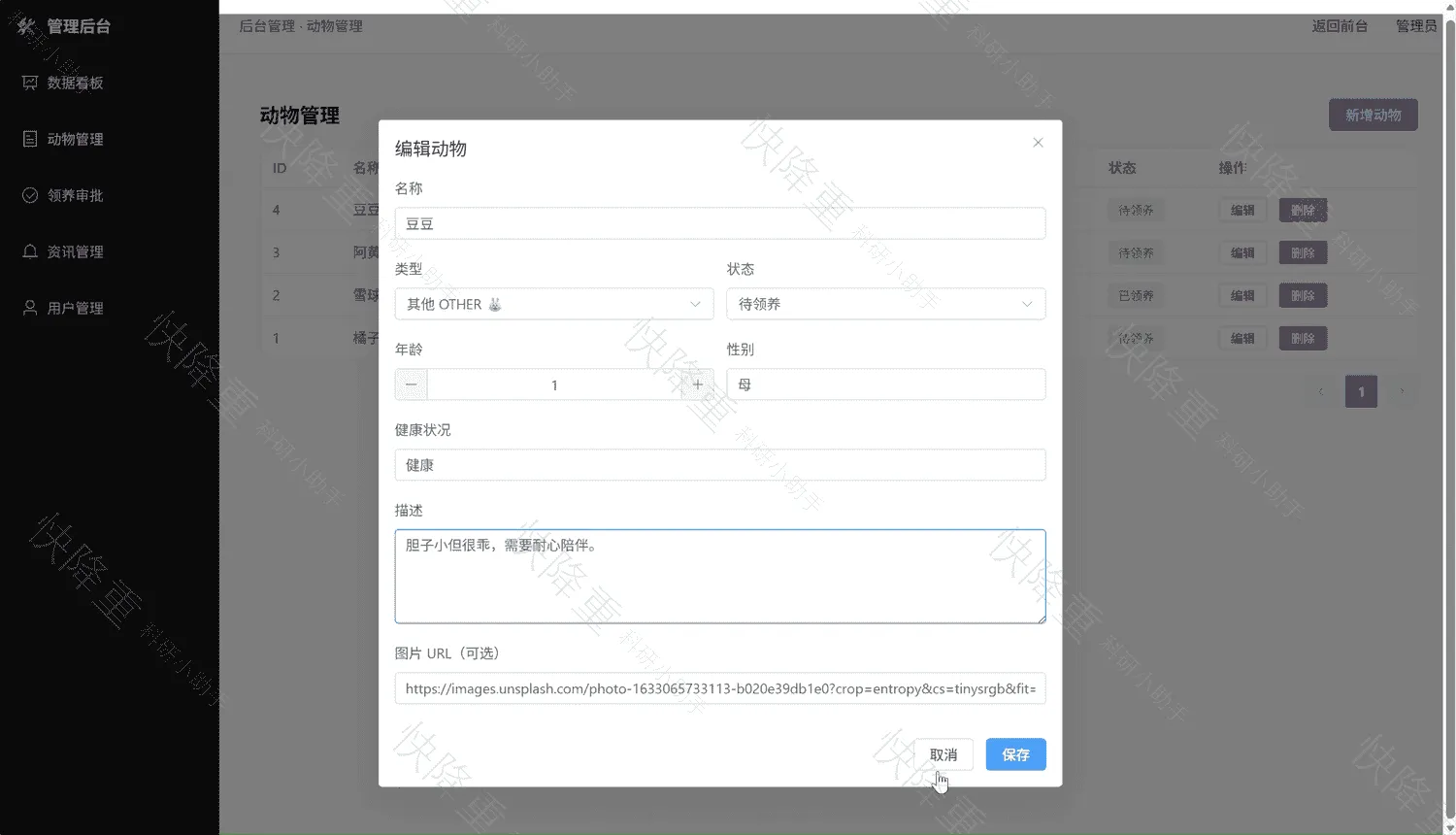 流浪动物救助与领养平台运行截图10
